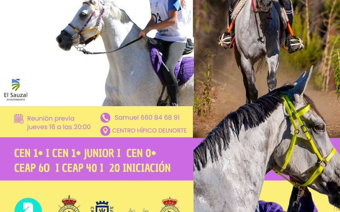 El Sauzal se convierte en el punto de encuentro de la resistencia ecuestre con el II Raid CH Delnorte y AERAC