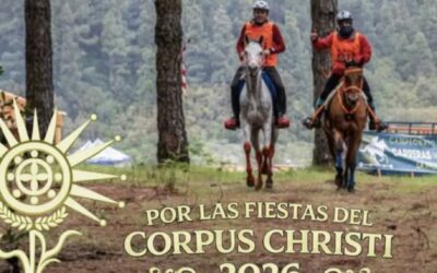 El III Raid Altos Villa de Mazo celebrará este sábado pruebas de resistencia ecuestre de hasta 85 kilómetros