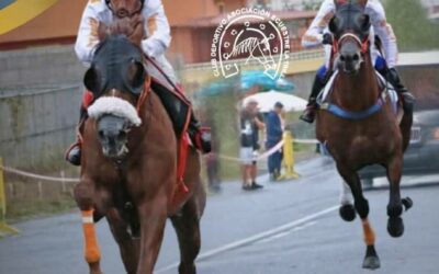 El campeonato de Canarias de carreras tradicionales reúne este sábado a la élite de la disciplina en Los Realejos
