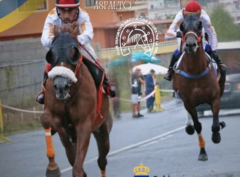El campeonato de Canarias de carreras tradicionales reúne este sábado a la élite de la disciplina en Los Realejos