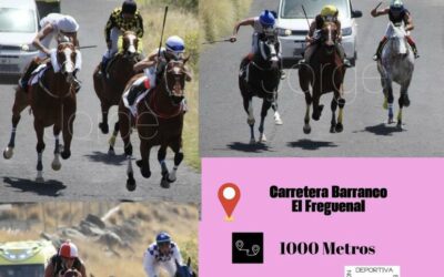 Güímar consolida su apuesta por las carreras de caballos con una nueva prueba del Campeonato de Tenerife