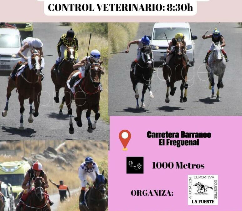 Güímar consolida su apuesta por las carreras de caballos con una nueva prueba del Campeonato de Tenerife