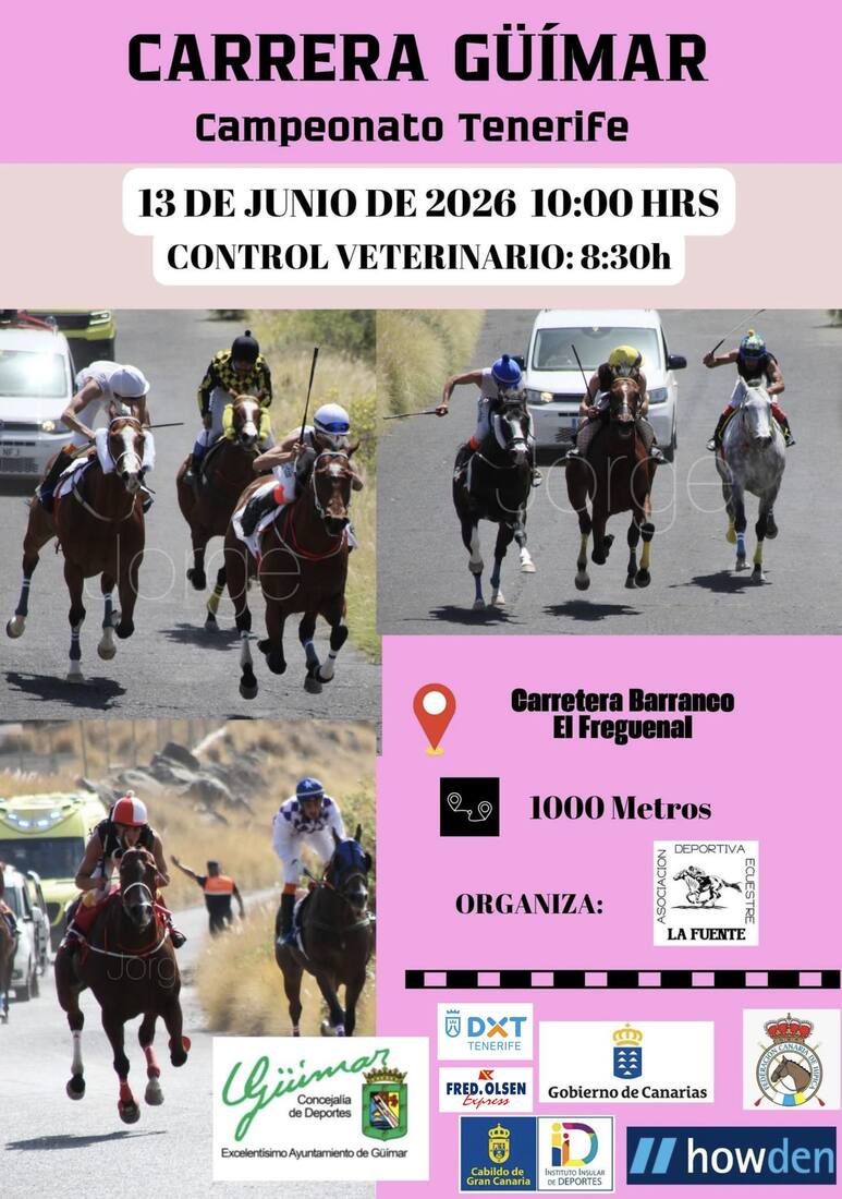 campeonato-tenerife-carreras-caballos-guimar-2026