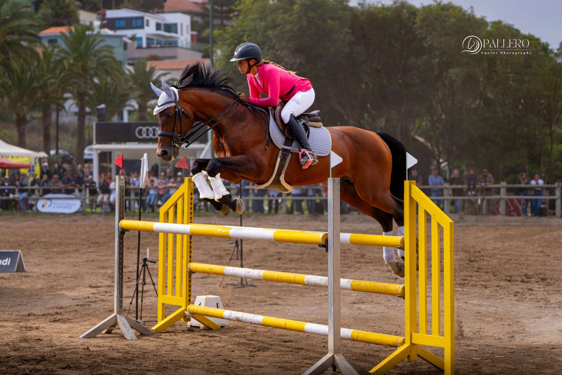 Luna Jiménez Bechold y Supreme Du Milon firman un pleno histórico en la Copa Audi y conquistan el Gran Premio por tercer año consecutivo