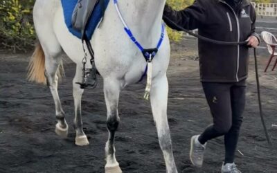 La resistencia ecuestre volvió a ser protagonista en el III Raid Altos Villa de Mazo
