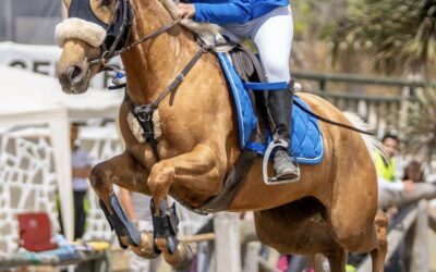 El Club Hípico Ciudad de Arucas acoge una intensa jornada de competición en el concurso territorial de salto de obstáculos celebrado con motivo del día de San Juan