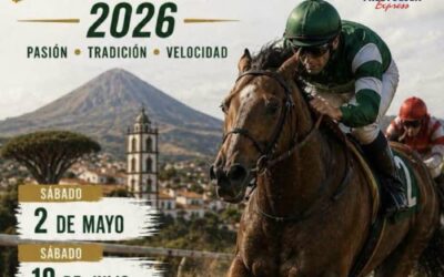 Las carreras tradicionales de caballos regresan este sábado a Icod de los Vinos con una nueva jornada