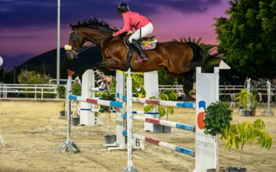 Arona se prepara para el segundo fin de semana del XXVII Concurso Nacional de Salto de categoría dos estrellas Arona–Playa de Las Américas