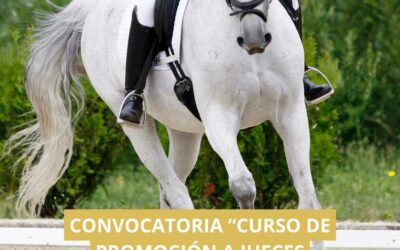La FCH convoca el Curso de Promoción a Jueces Nacionales N1 de Doma Clásica y Doma Paralímpica