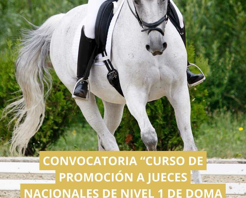 La FCH convoca el Curso de Promoción a Jueces Nacionales N1 de Doma Clásica y Doma Paralímpica
