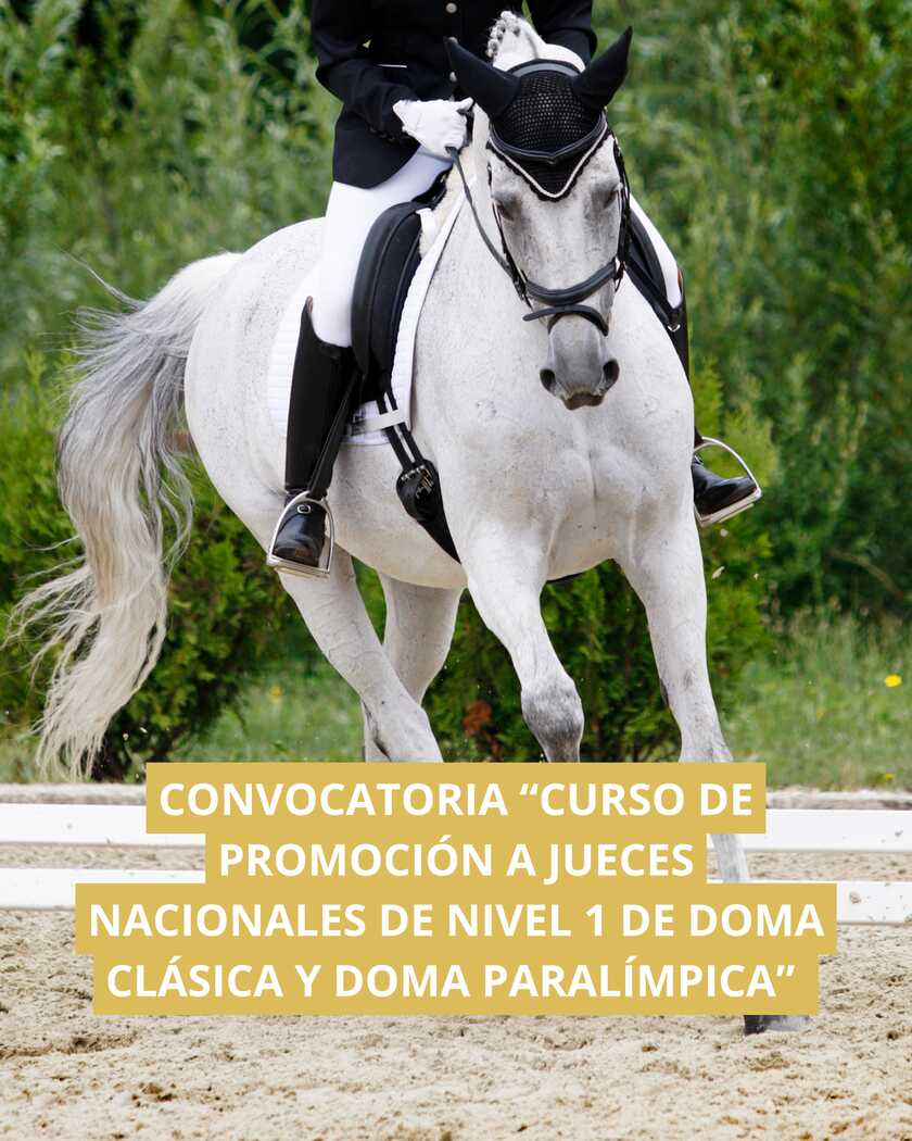 Cartel del Curso de Promoción a Jueces Nacionales N1 de Doma Clásica y Doma Paralímpica 2026