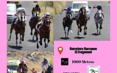 La velocidad y la emoción regresan a Güímar con una nueva cita del Campeonato de Tenerife de Carreras de Caballos