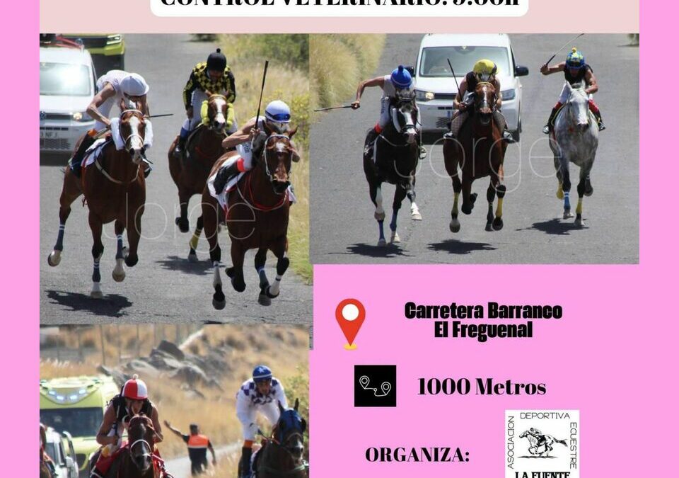 La velocidad y la emoción regresan a Güímar con una nueva cita del Campeonato de Tenerife de Carreras de Caballos