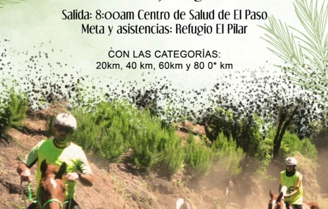 El municipio palmero de El Paso acoge este sábado la primera edición del Raid Hola El Paso de resistencia ecuestre