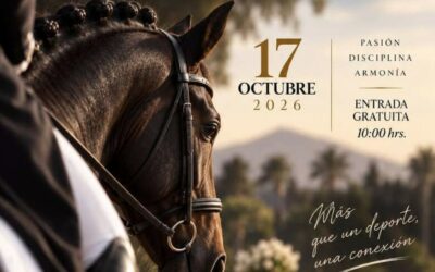 El Centro Hípico El Molino acoge este sábado un concurso de doma clásica y doma paralímpica en Tenerife